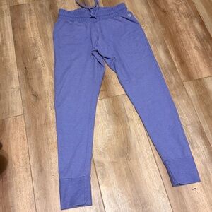 Free People Movement Joggers S P Purple stretchy pants